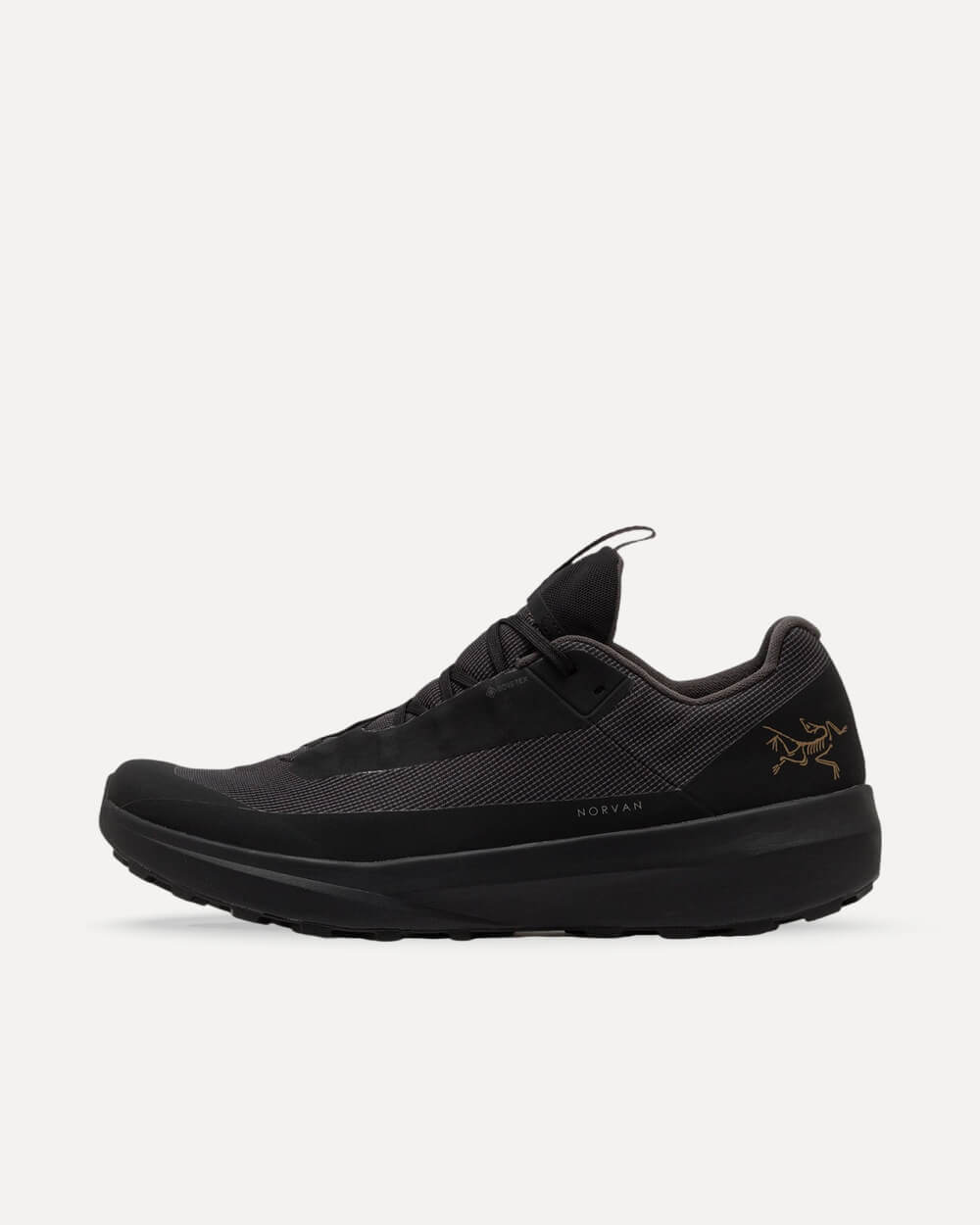 Arc’teryx Norvan LD 4 GTX