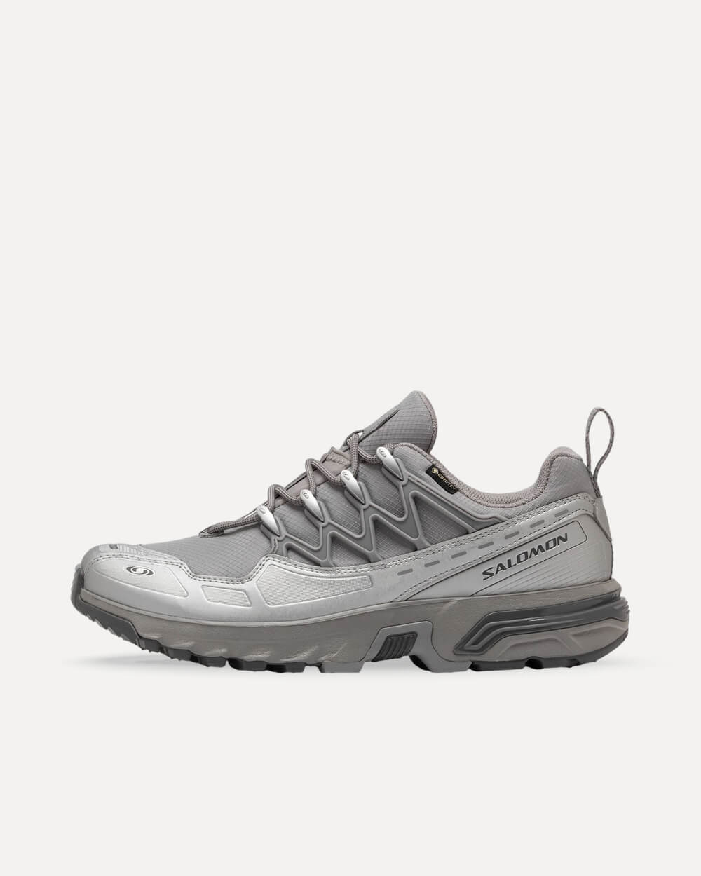 Salomon ACS+ GTX
