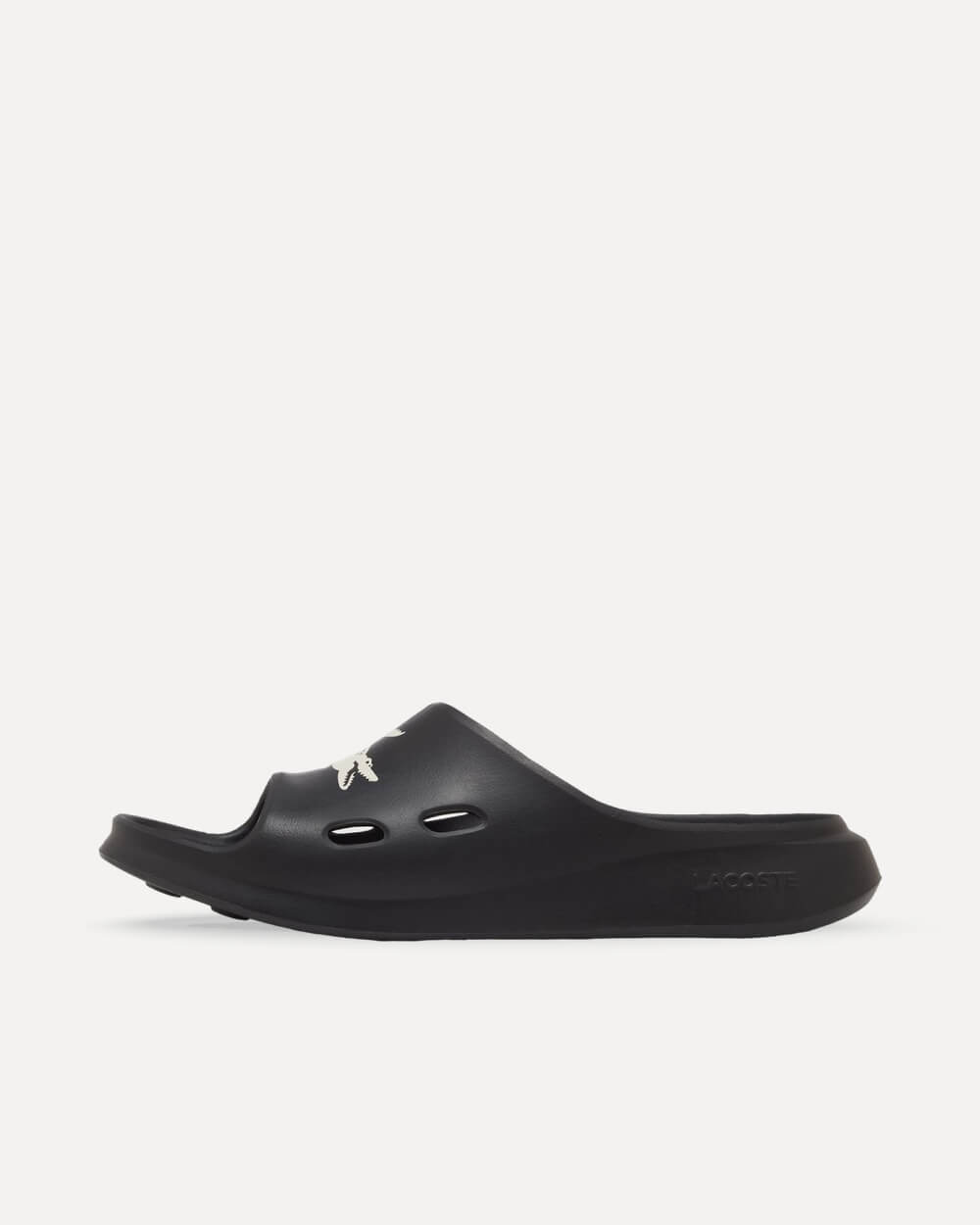 Lacoste Meduz Slide