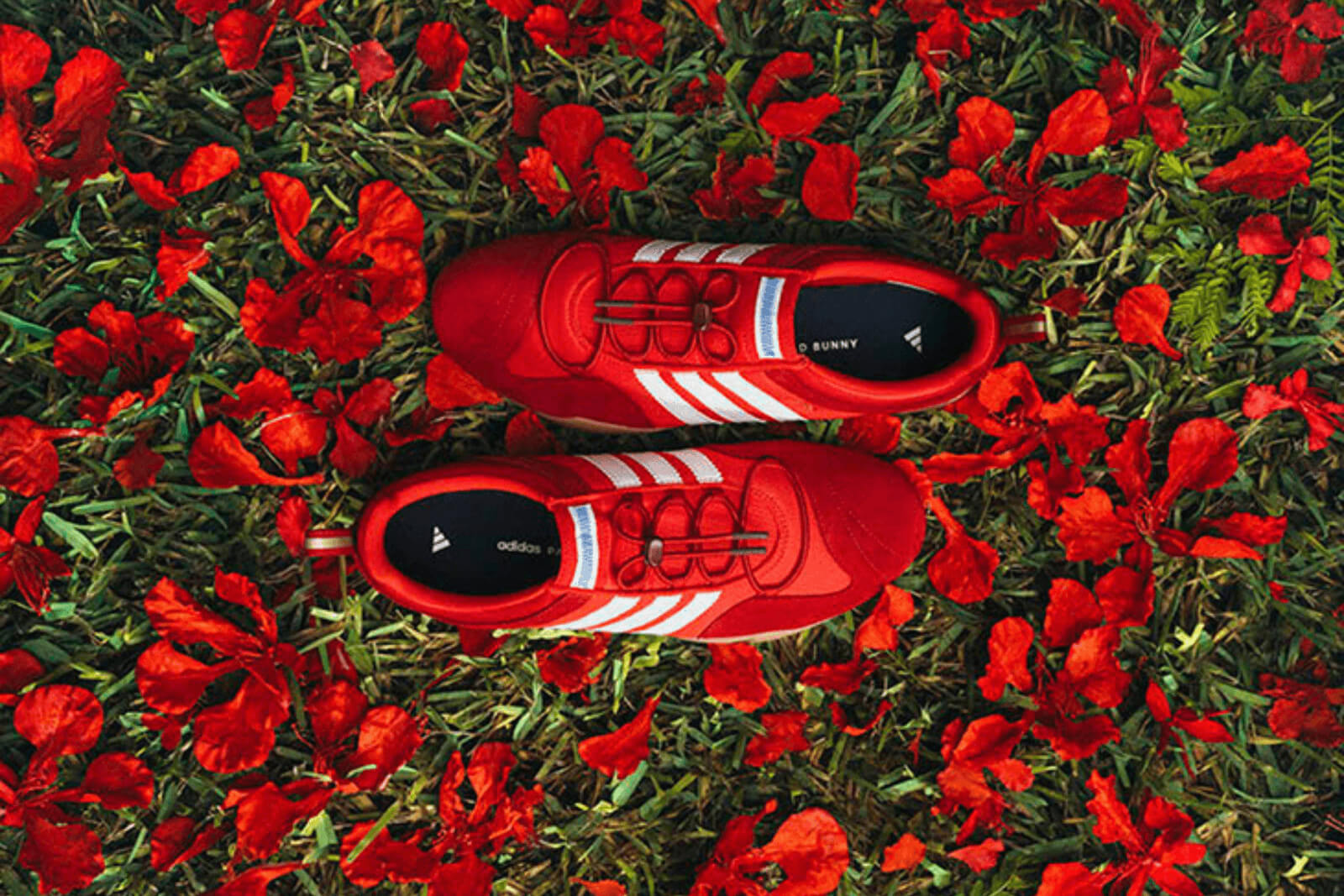 adidas Originals und Bad Bunny zeigen die Ballerina in neuem Colorway