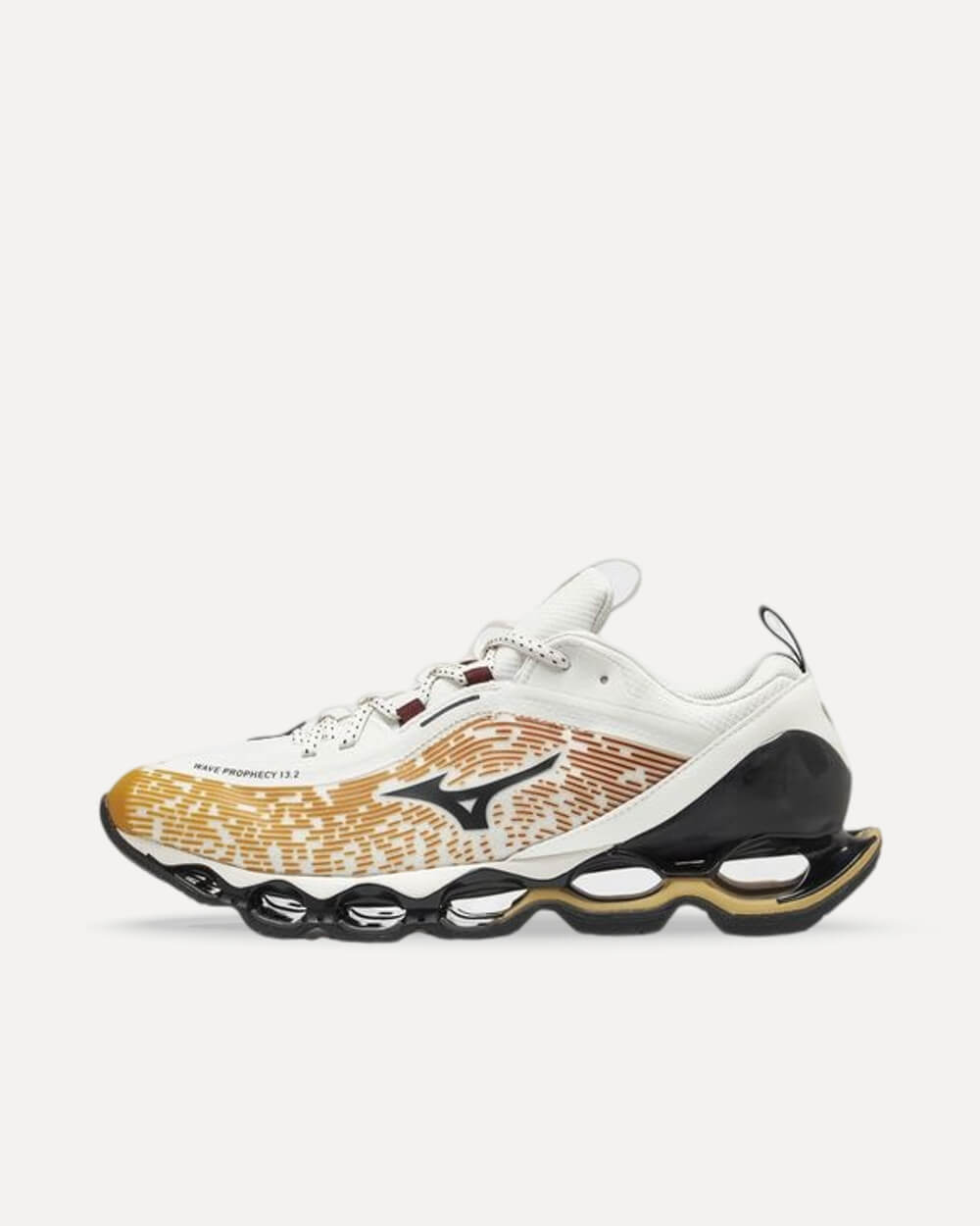 Mizuno Wave Prophecy 13.2