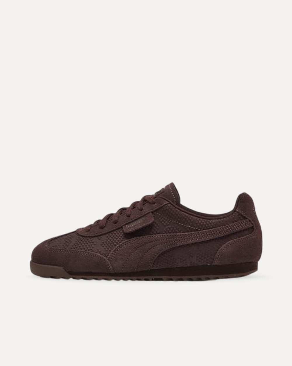 Puma Arizona Python
