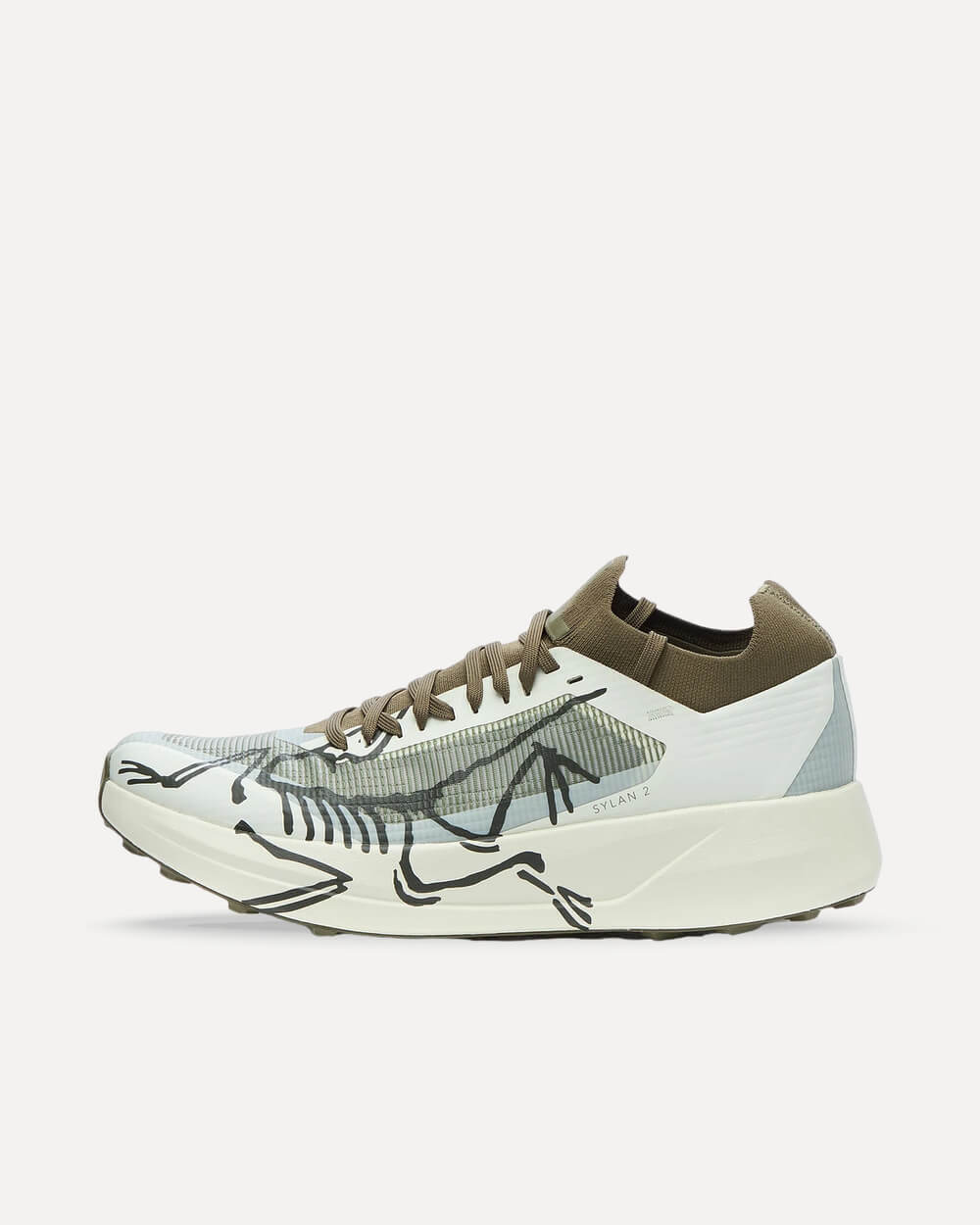 Arcteryx Sylan 2