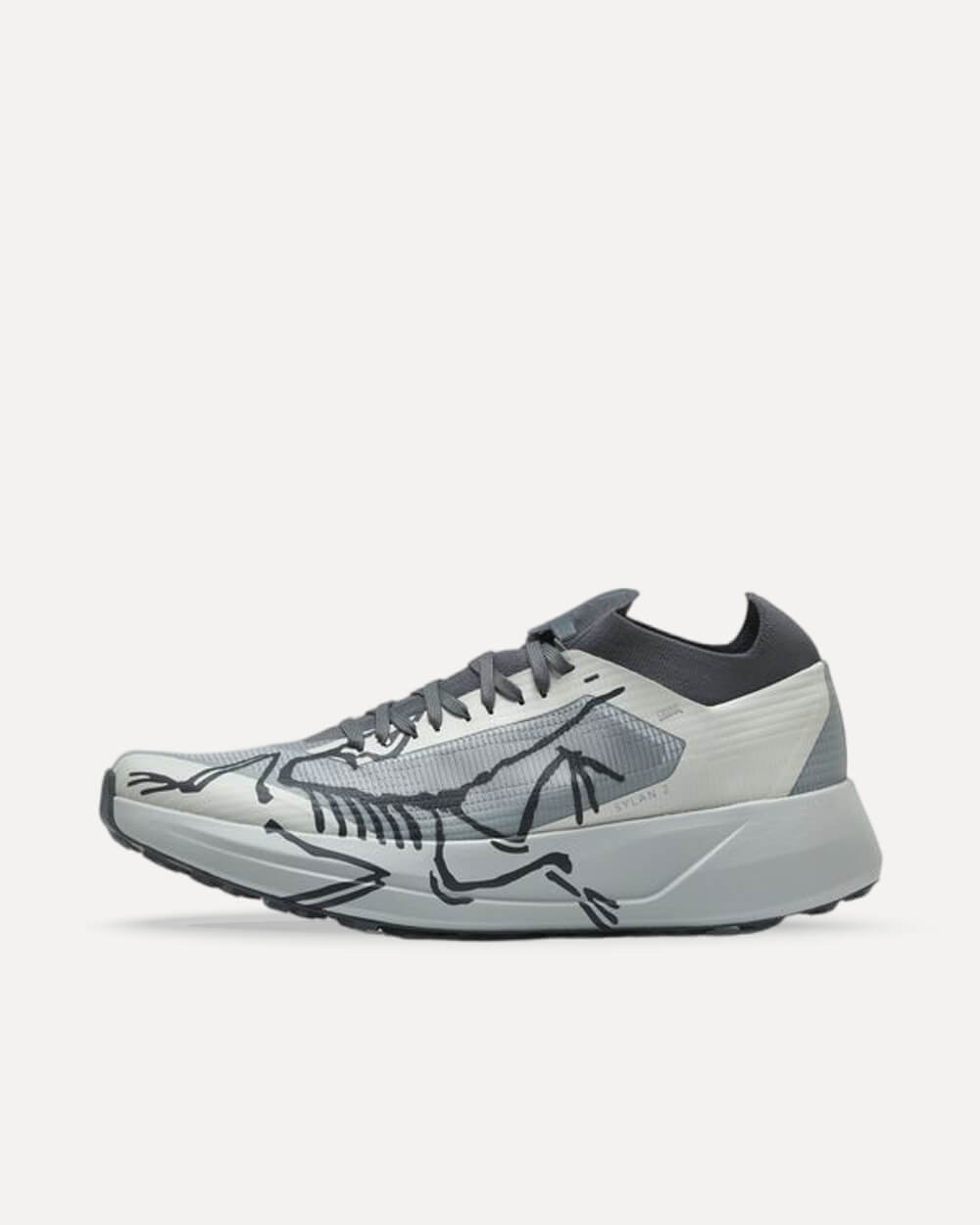 Arcteryx Sylan 2