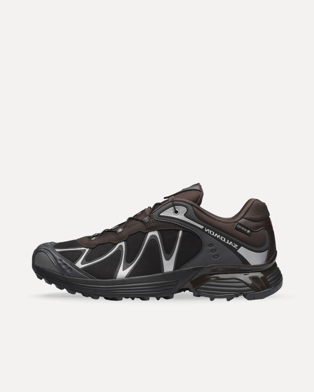 Salomon XT-Whisper GTX