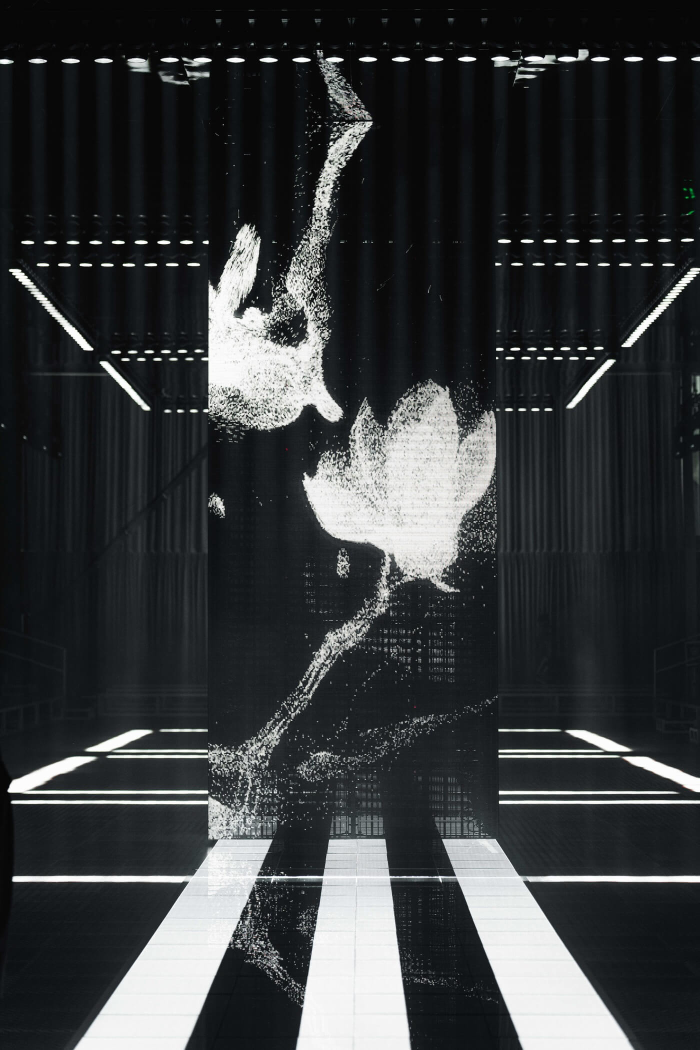 adidas FUTURE OF THREE