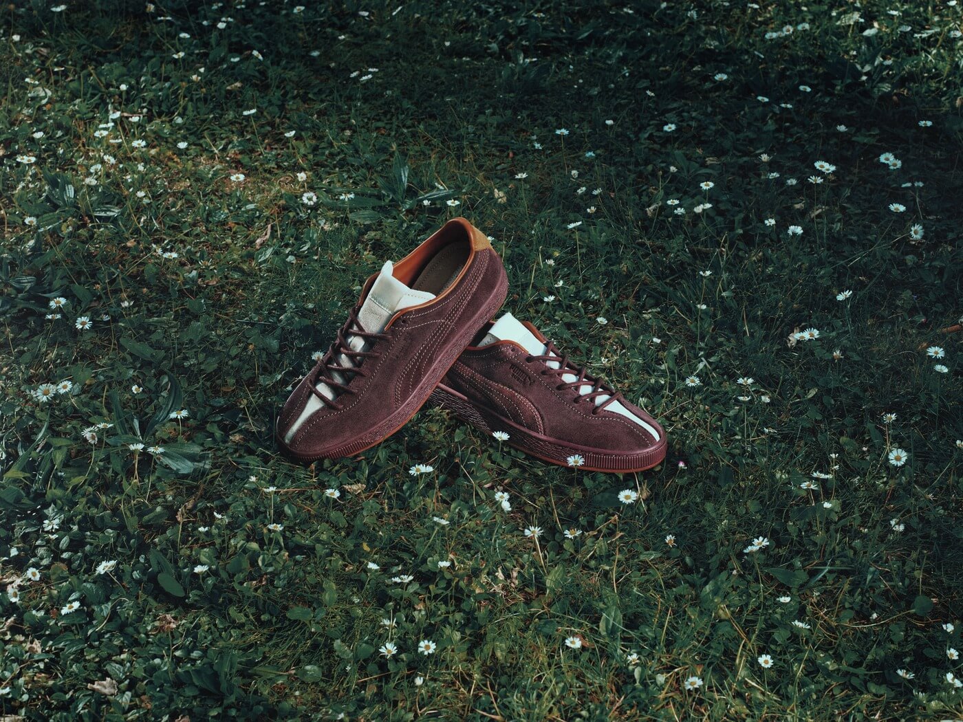 PUMA x le PÈRE Suede